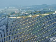 茶光共舞映滇南 匠心服務筑標桿 | 英利能源與中國電建共譜鄉(xiāng)村振興新篇